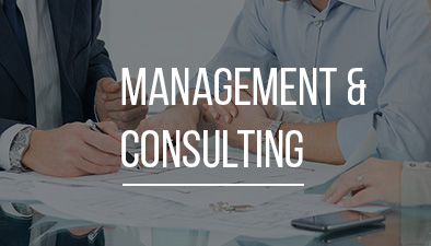 Management and consultancy services